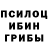 Псилоцибиновые грибы Cubensis alina 1