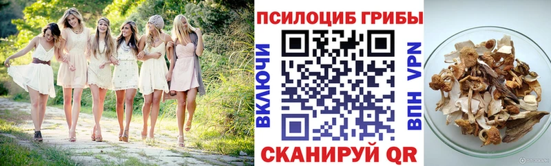Галлюциногенные грибы мицелий Бахчисарай