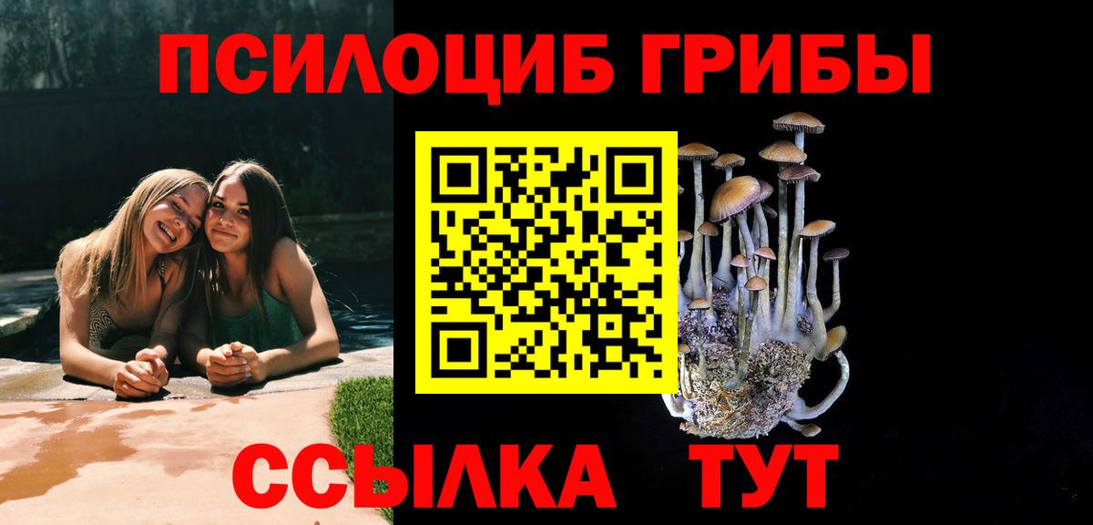 Псилоцибиновые грибы мухоморы  Вход с VPN  Бахчисарай 